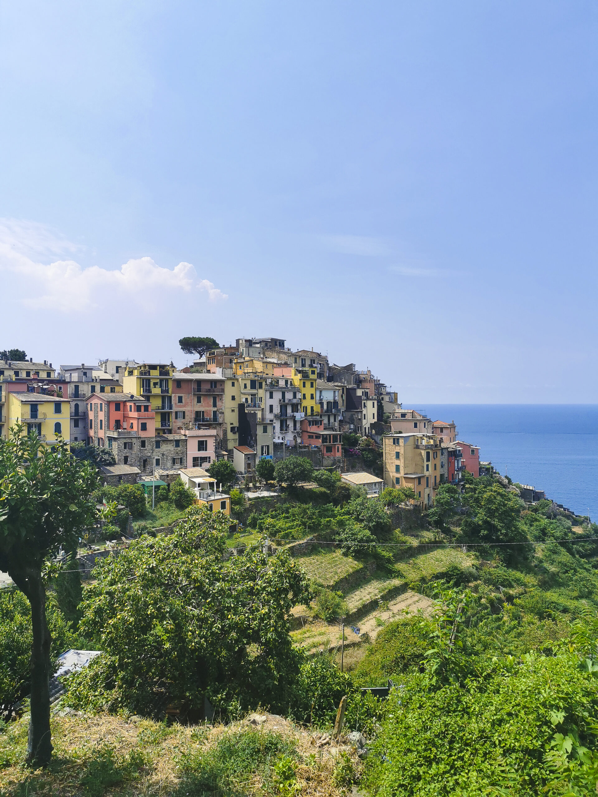 Cinque Terre, Isabel Bechter